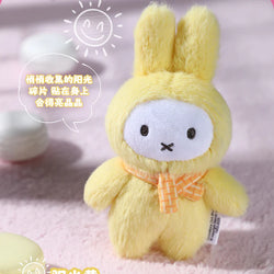 ＭＵ　miffy プラッシュキーチェーン 2箱 Miffy Macaron V2 Plush Keychain Blindbox