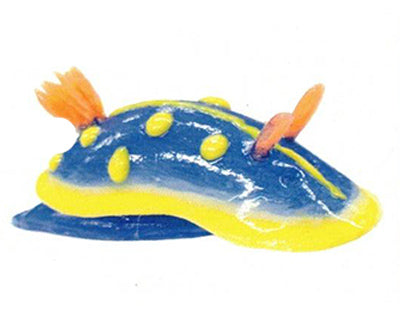 1/1 scale world of sea slugs Gacha Series featuring a blue nudibranch with yellow spots and orange rhinophores.
