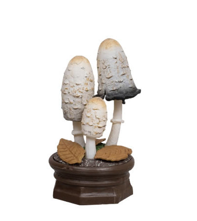 Mushroom 3D Encyclopedia 2 Gacha Series