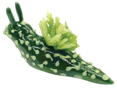 1/1 scale world of sea slugs Gacha Series: A vegetable-sculpted snail with gherkin body, leafy green shell, embodying Strangecat Toys' unique blind box offerings.