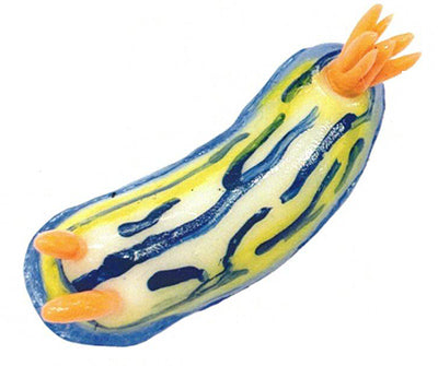 1/1 scale World of Sea Slugs Gacha Series featuring a detailed nudibranch model with orange rhinophores and tufted gill-plume, part of Chromodorididae family.