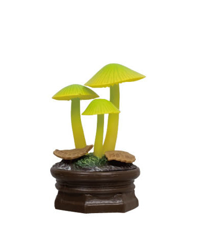 Mushroom 3D Encyclopedia 2 Gacha Series