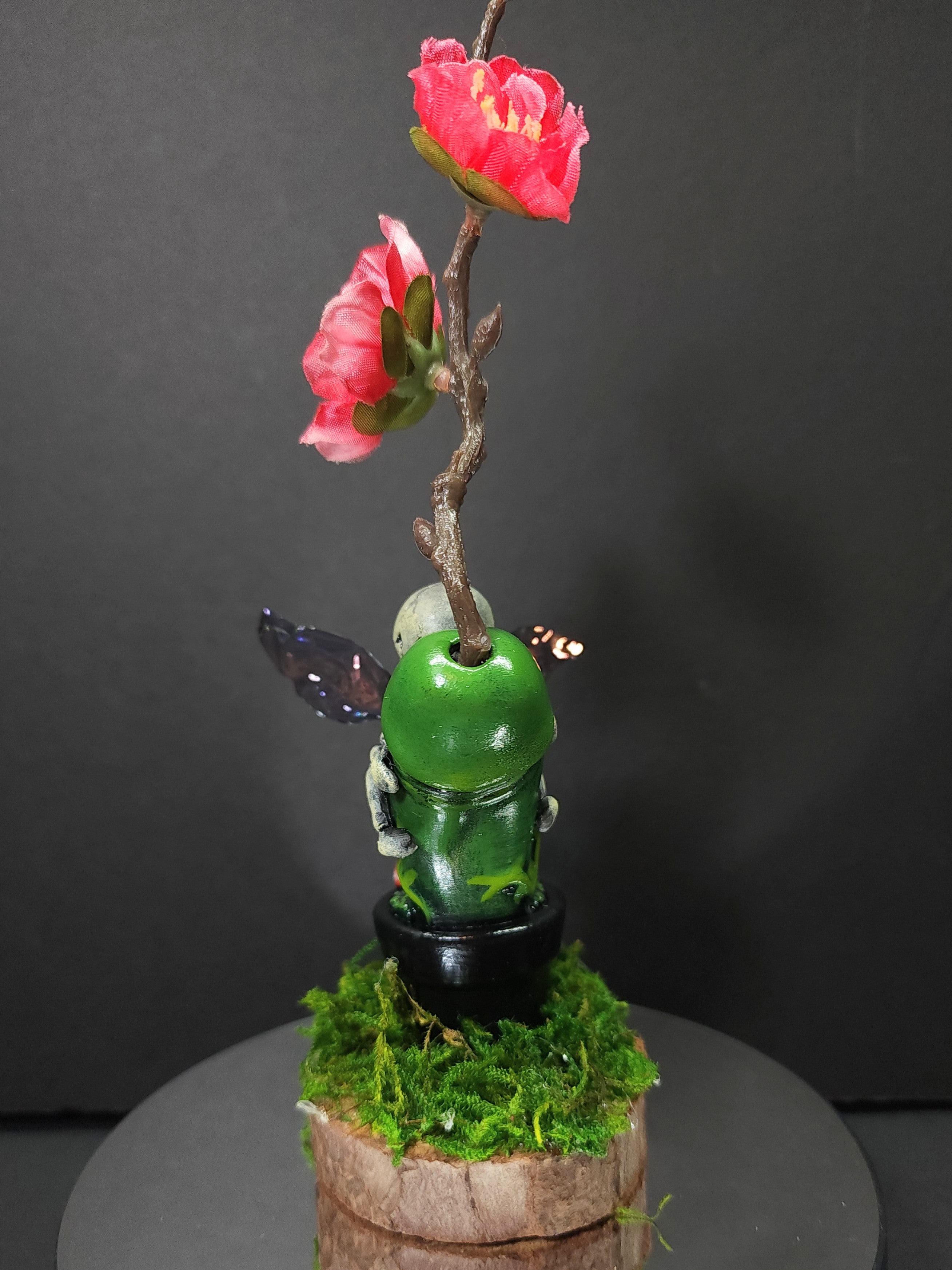 A close-up of a green plant with a red flower and a black object on a stump with moss.