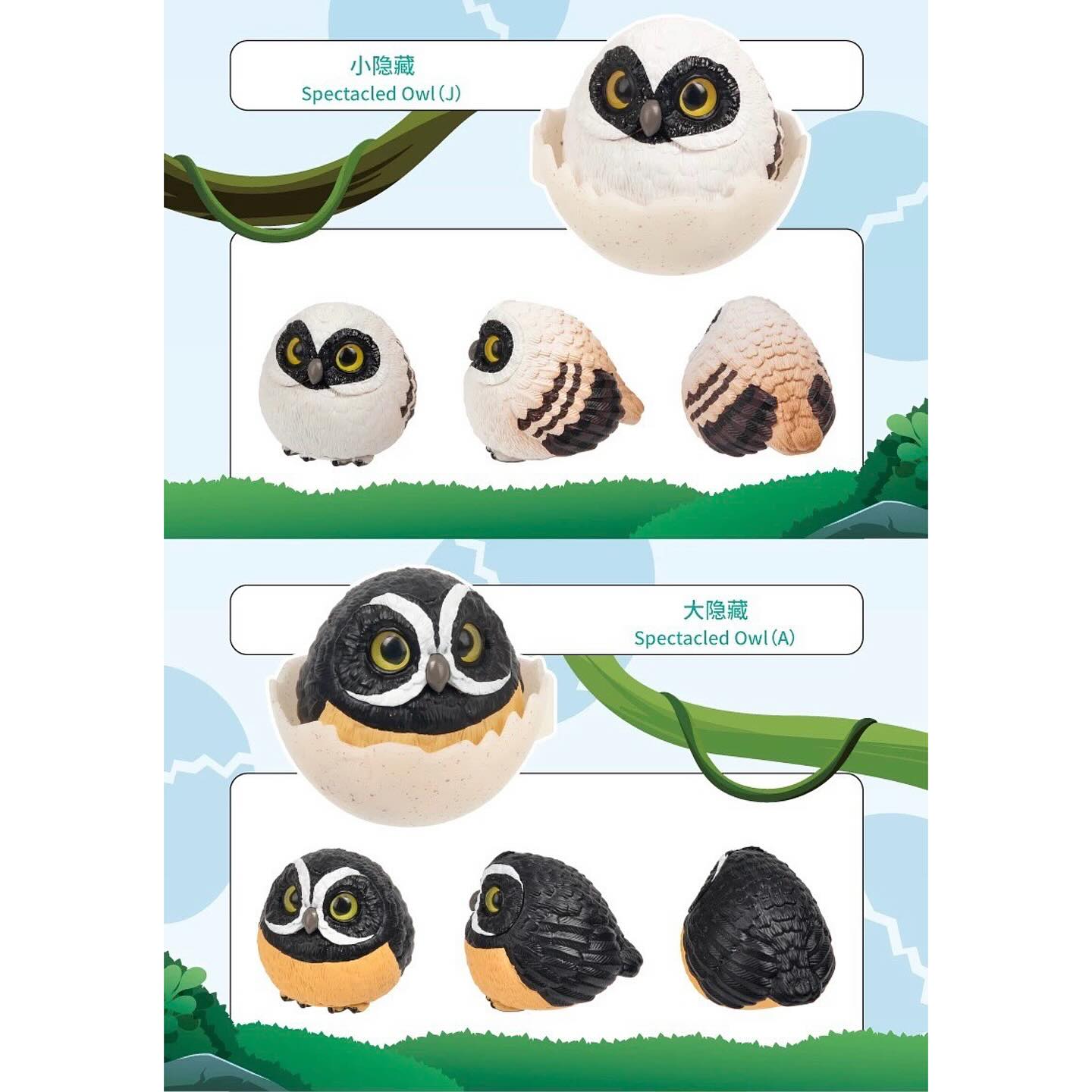 JoJoBirds and Friends 5th-Sprite Island Blind Box Series: two Spectacled Owl collectibles, showcasing front, side, back views in eggshells, featuring one cream-tan, one black-orange variant.