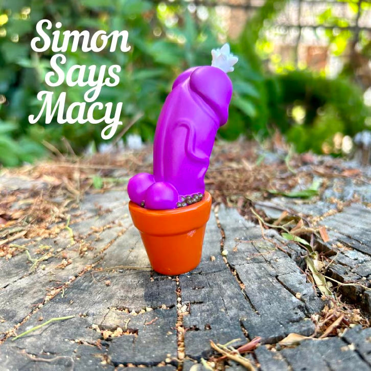 Toy cactus in pot with purple flowers, cat statue, and green plant. Limited edition Cocktus - Eggplant Purple by Simon Says Macy.