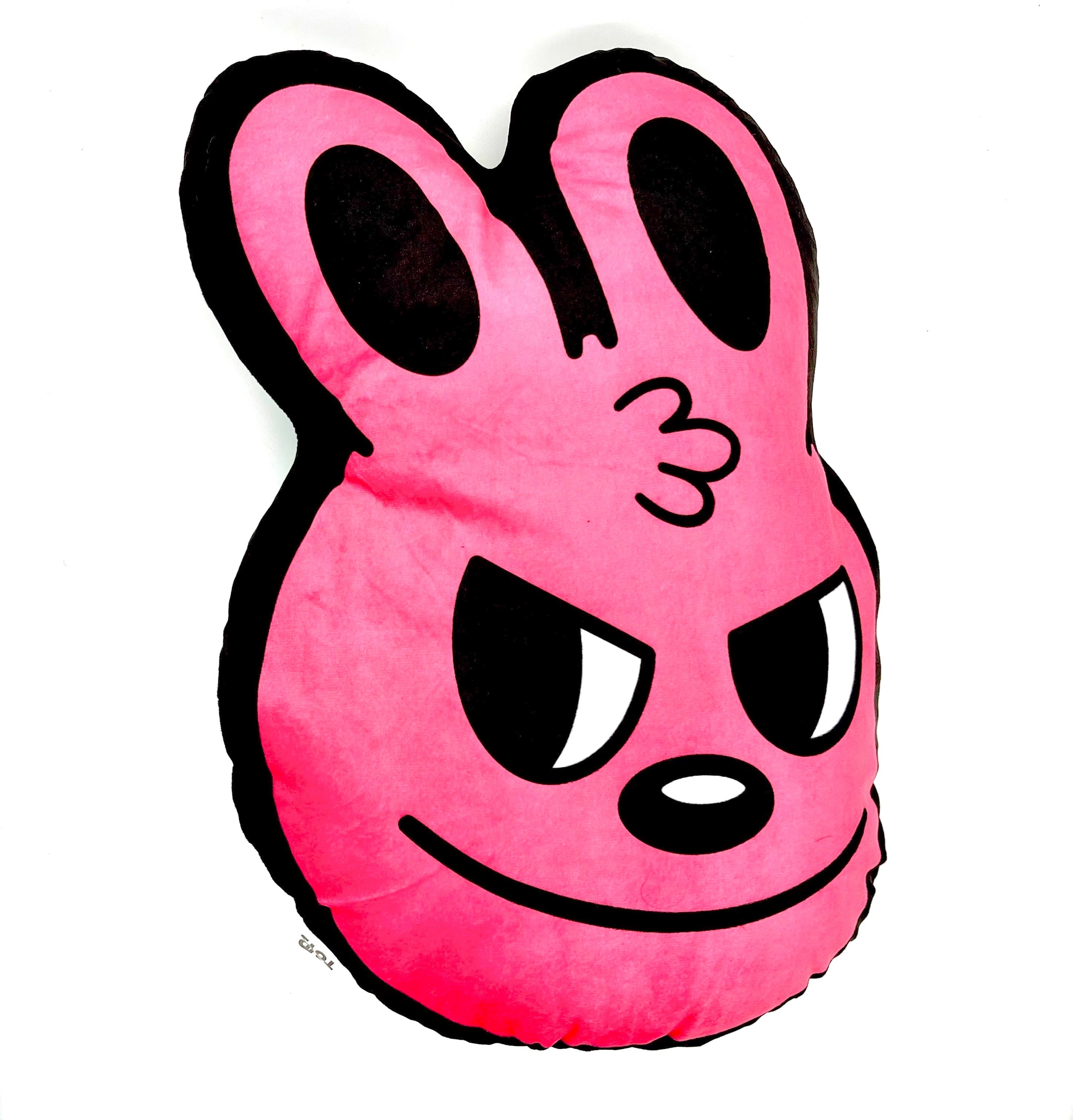 Blake Jones 18 Pillow featuring a double-sided design with Jones' signature cartoon character, perfect for art toy enthusiasts from Strangecat Toys.