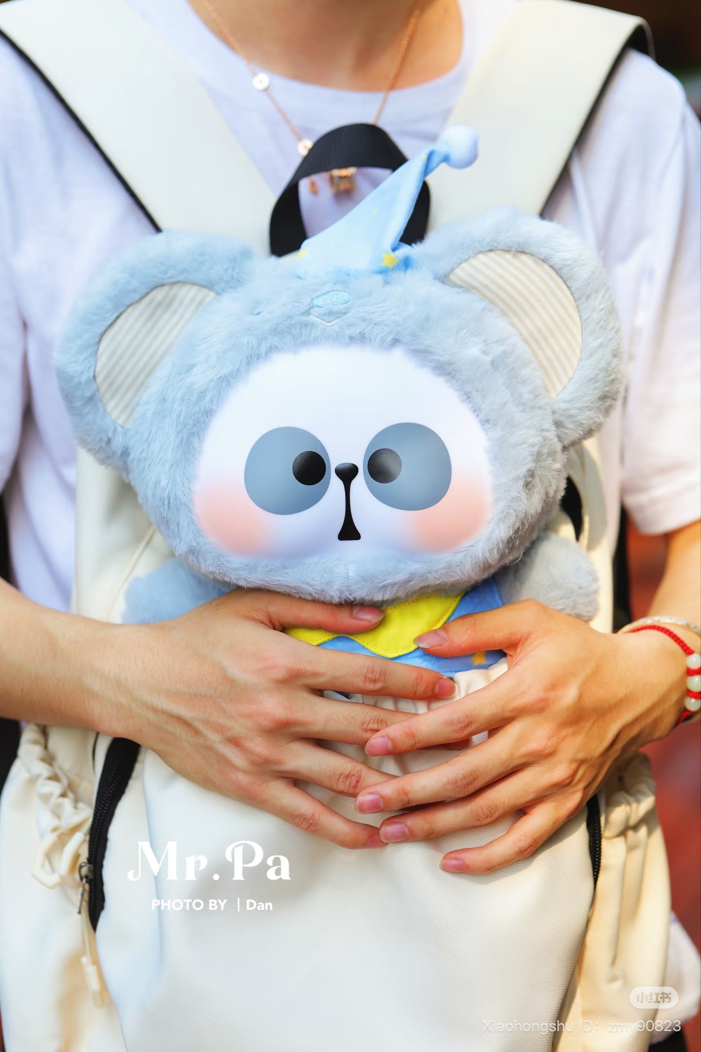 Person holding MR.PA Animal Party 400% Plush Blind Box toy, available for preorder, featuring four designs and two secret variants, oversized, ships August 2025.