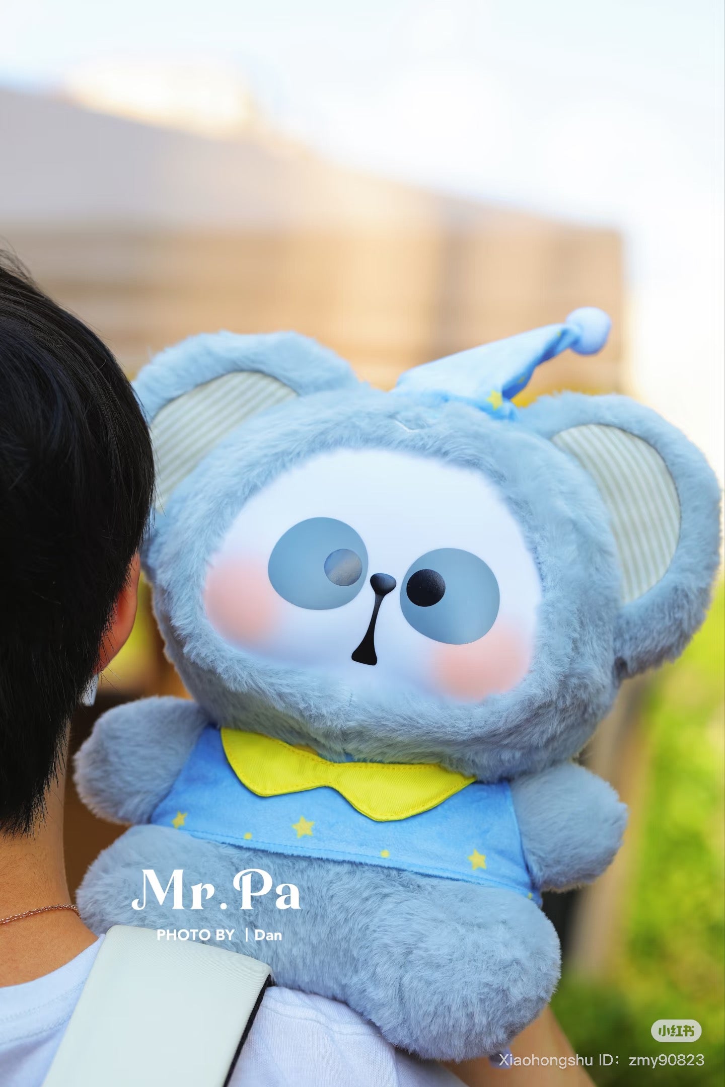MR.PA Animal Party 400% Plush Blind Box - Preorder featuring a person holding a plush toy, emphasizing its oversized and collectible nature.
