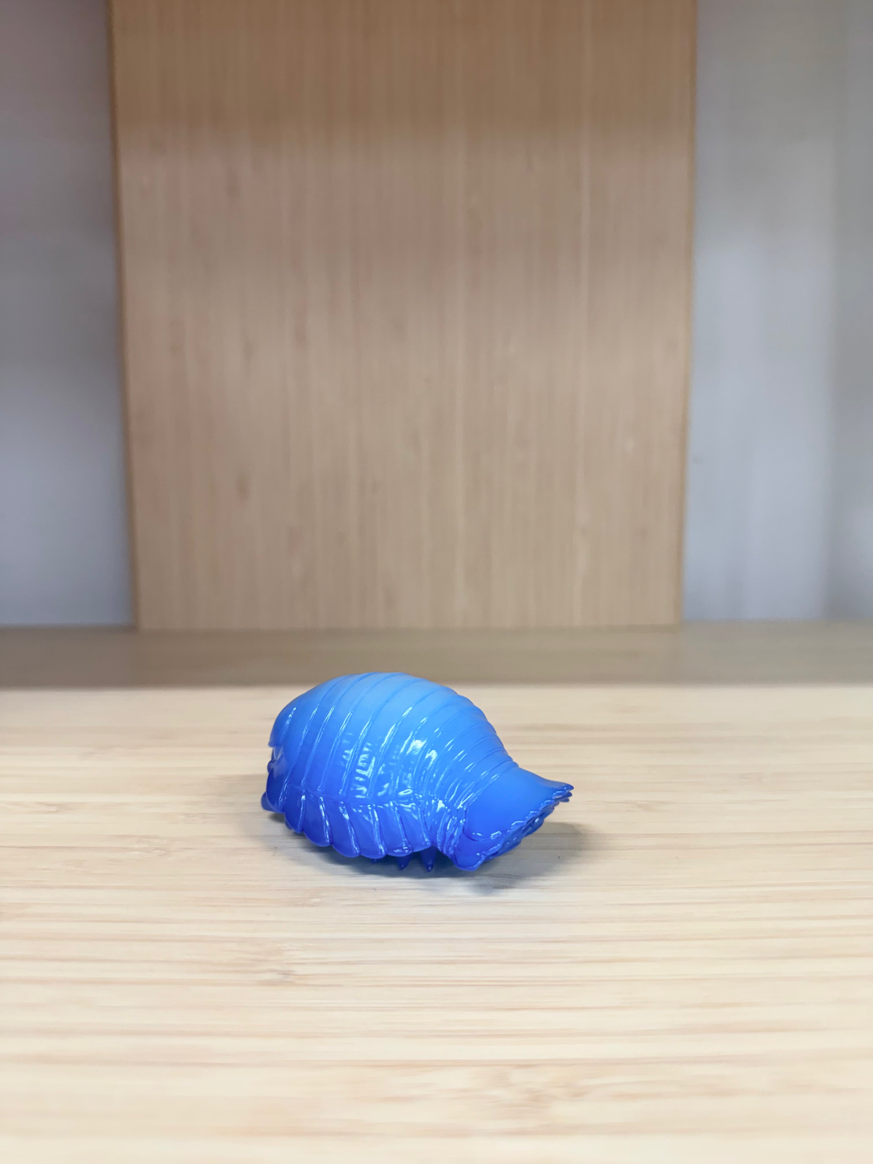 Giant Isopod Artic Sea by Only Creatures