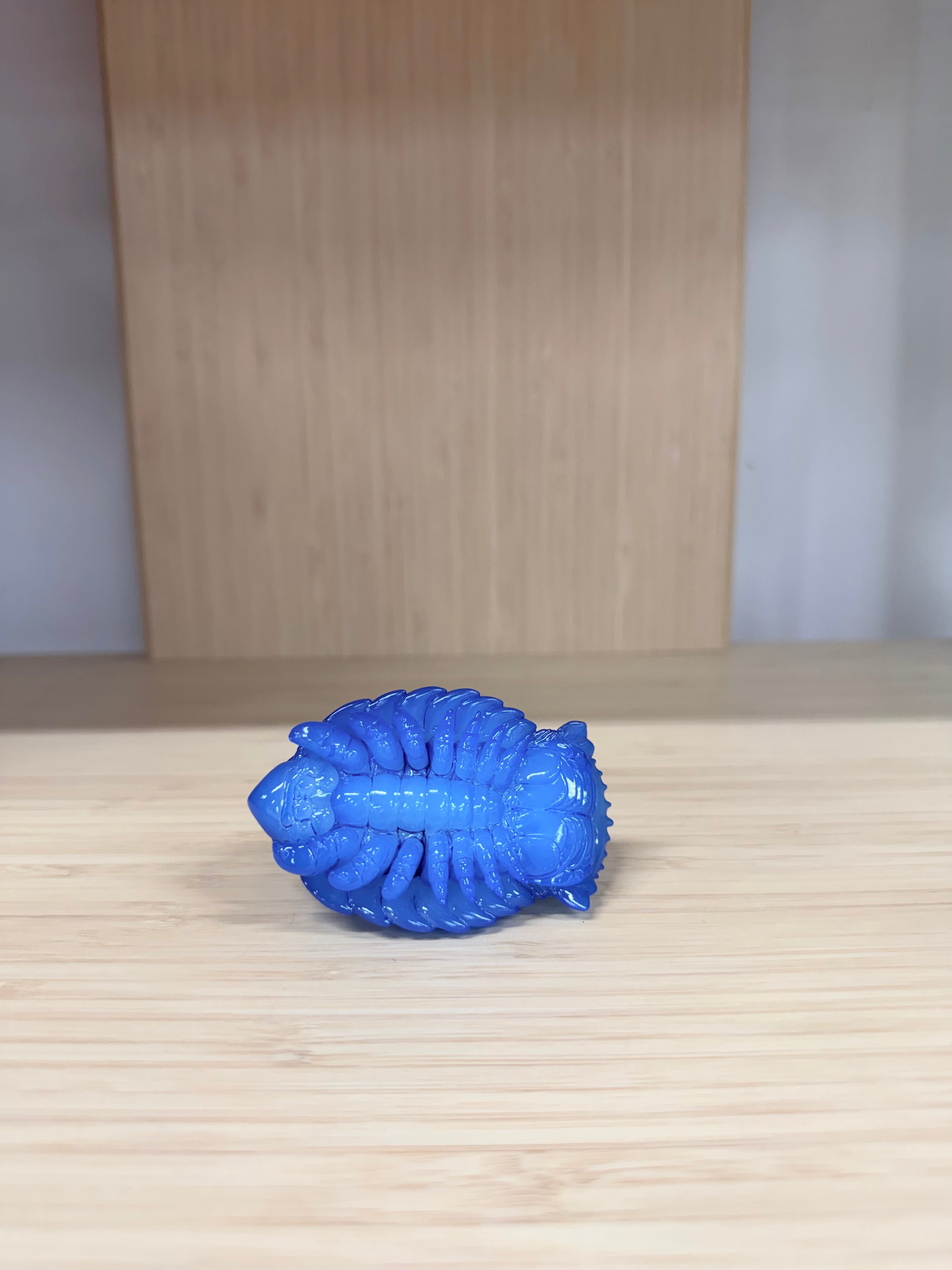 Giant Isopod Artic Sea by Only Creatures