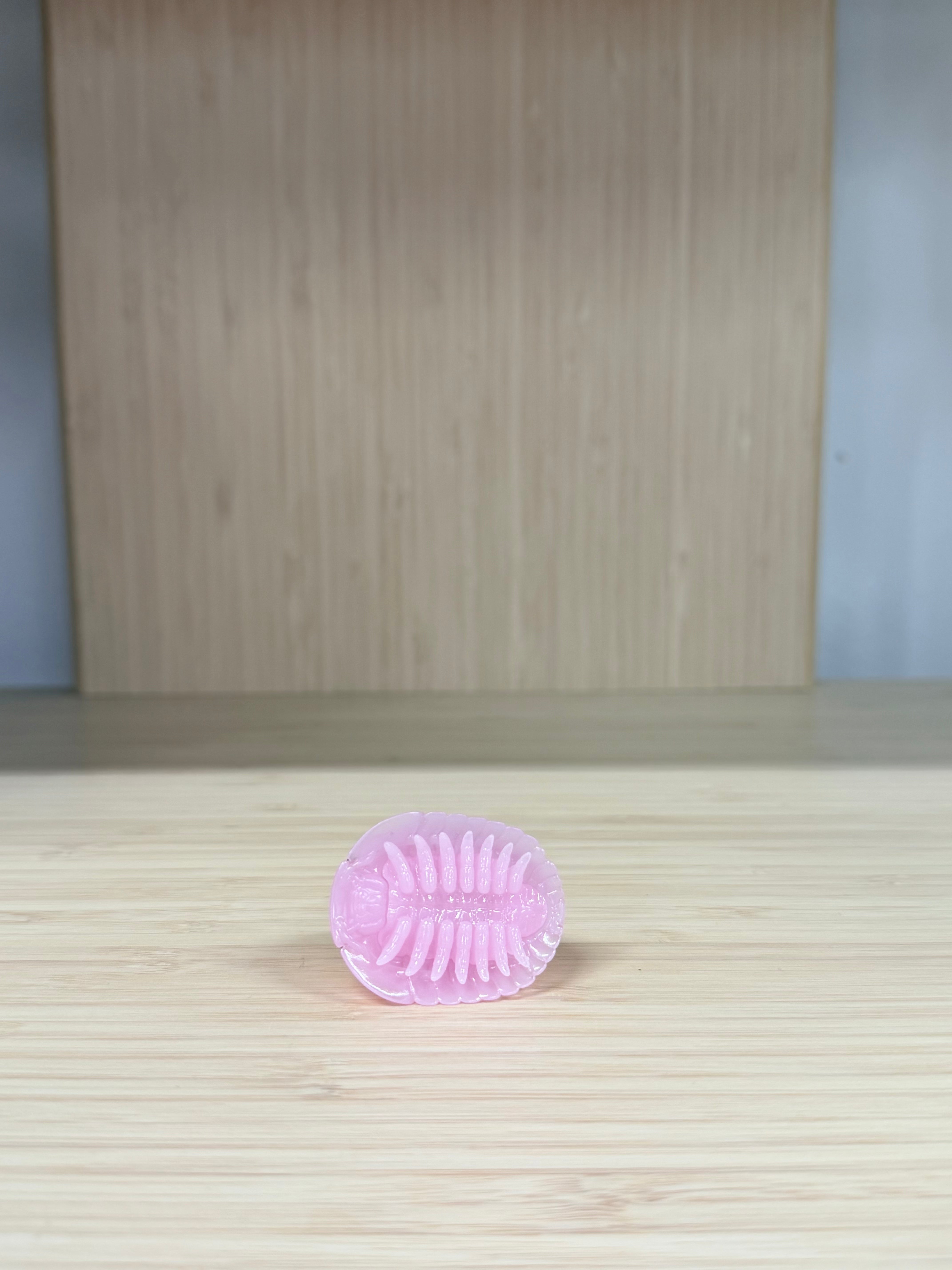Isopod Cubaris Sakura by Only Creatures