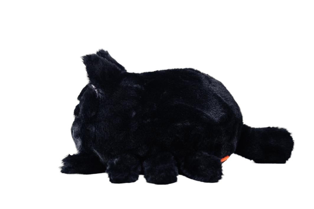 Spider Cat Plush by Abao