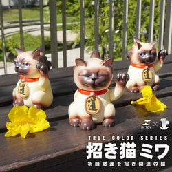 Where to Buy Japanese Cat Toys: Top Spots for Unique Finds