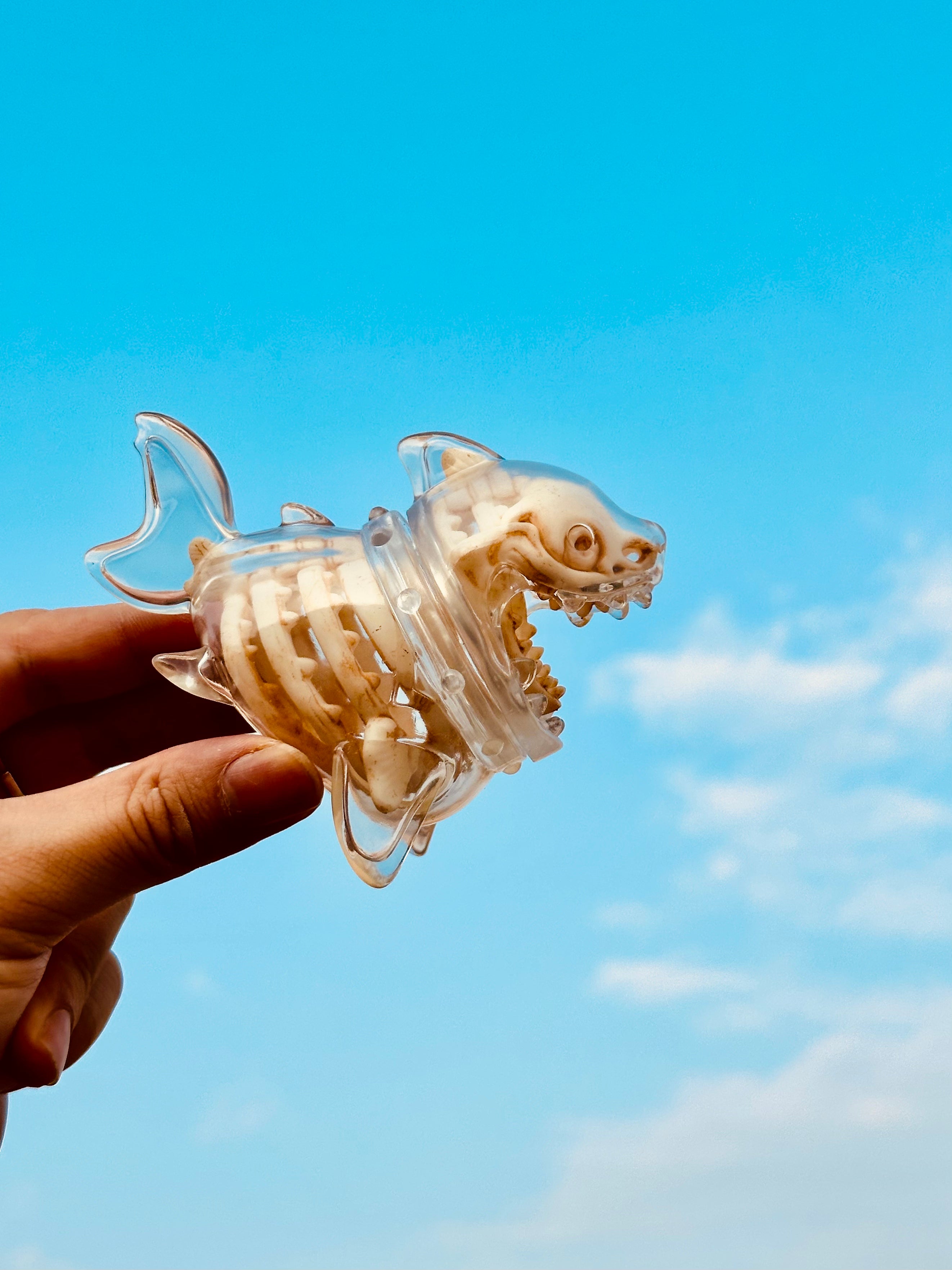 Yagu Skeleton Shark by HOTRU - Preorder: Clear toy with resin skeleton resembling a shark, featuring a rotatable head, part of the Shell Series collection.