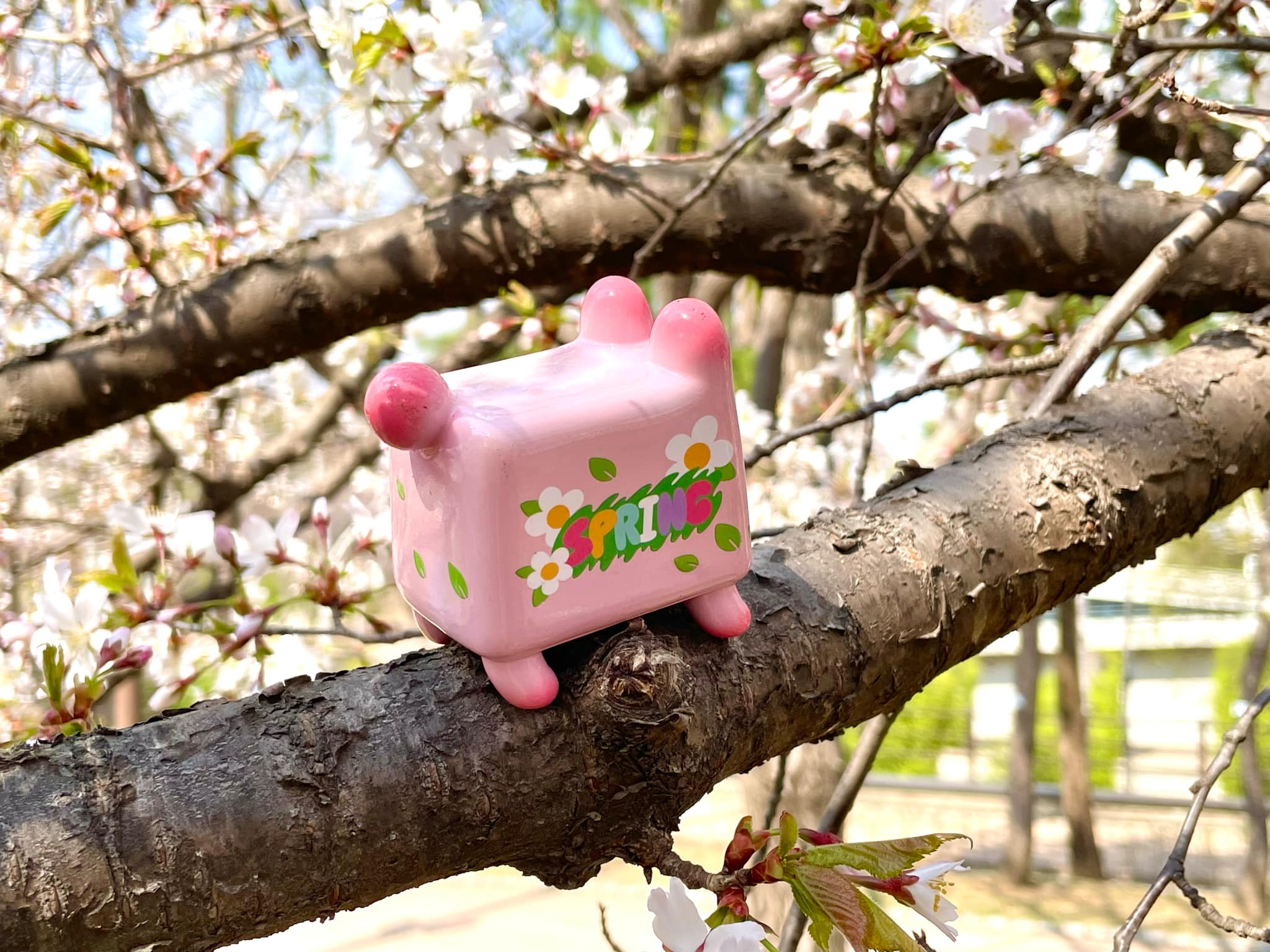 Box Bear - Sakura Spring Ver. by Rato Kim, a pink ceramic toy adorned with white flowers, sits on a tree branch.