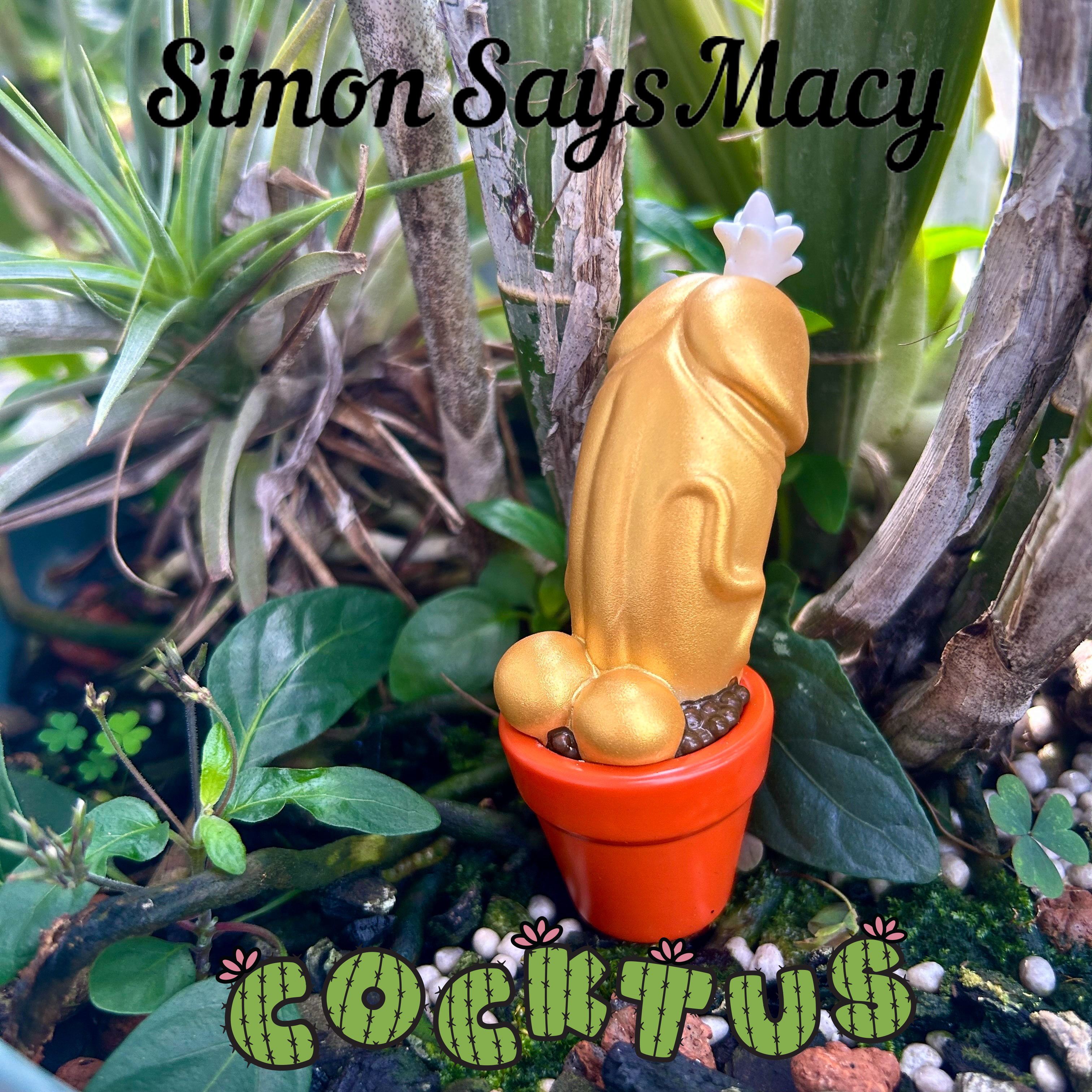 Cocktus - Gold-member by Simon Says Macy, a gold cactus in a pot, 3.5 tall, limited to 200pcs, for display purposes only!