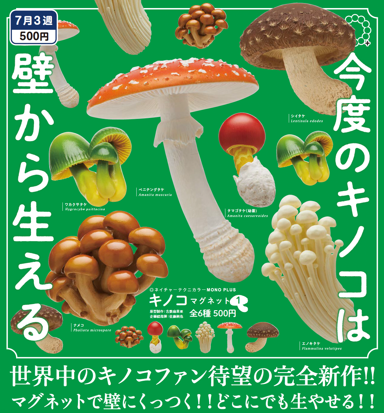 It grows from the wall Gacha Series poster showcasing various mushroom types, emphasizing the unique and artistic design characteristic of Strangecat Toys' offerings.