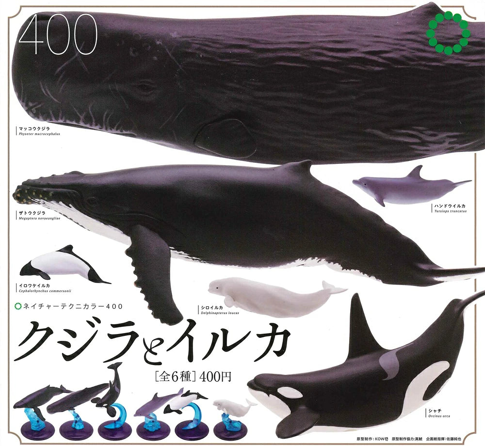 NTC400 Whales and Dolphins Gacha