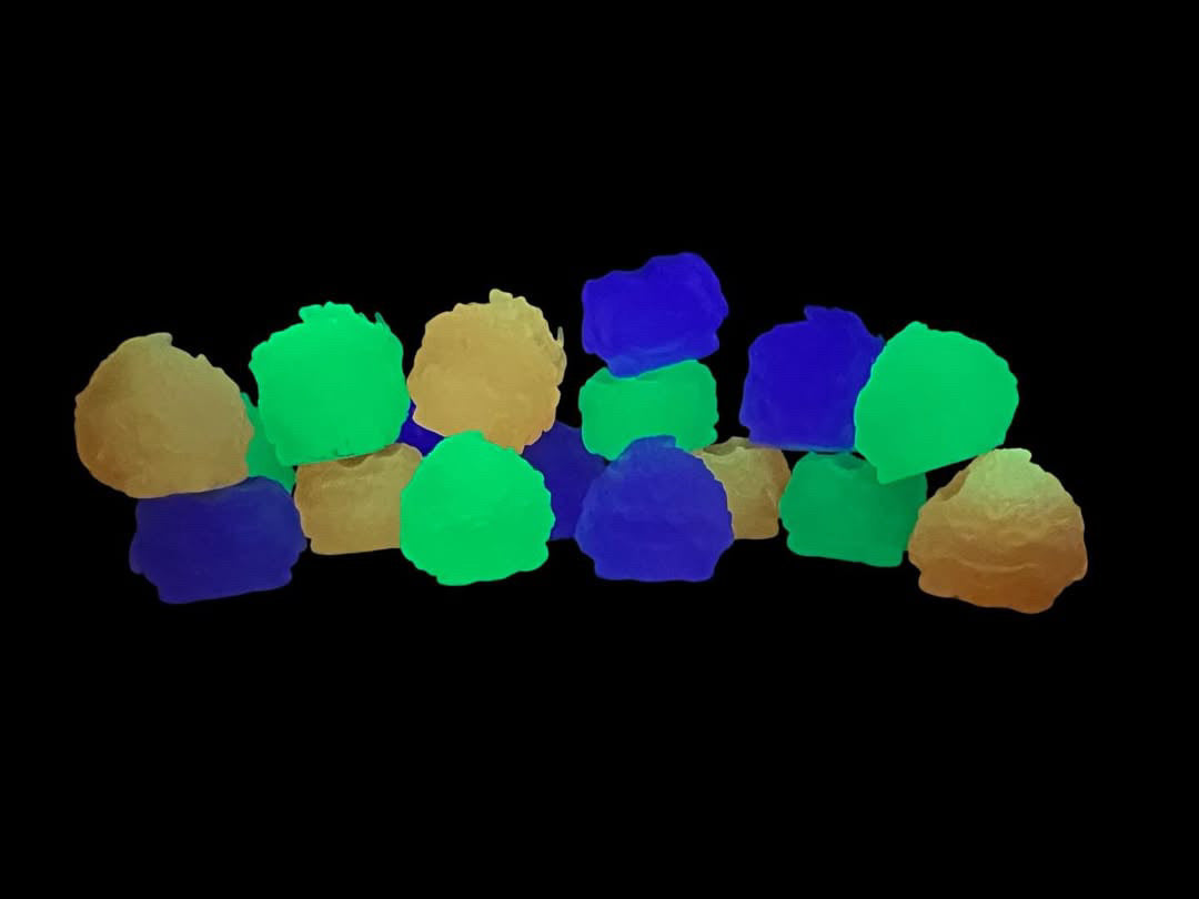 Bite Me - Bud Bites by Fettup; unique mixed media art piece featuring vibrantly shaped forms, exclusively at Strangecat Toys. Each is a 1/1 collectible.