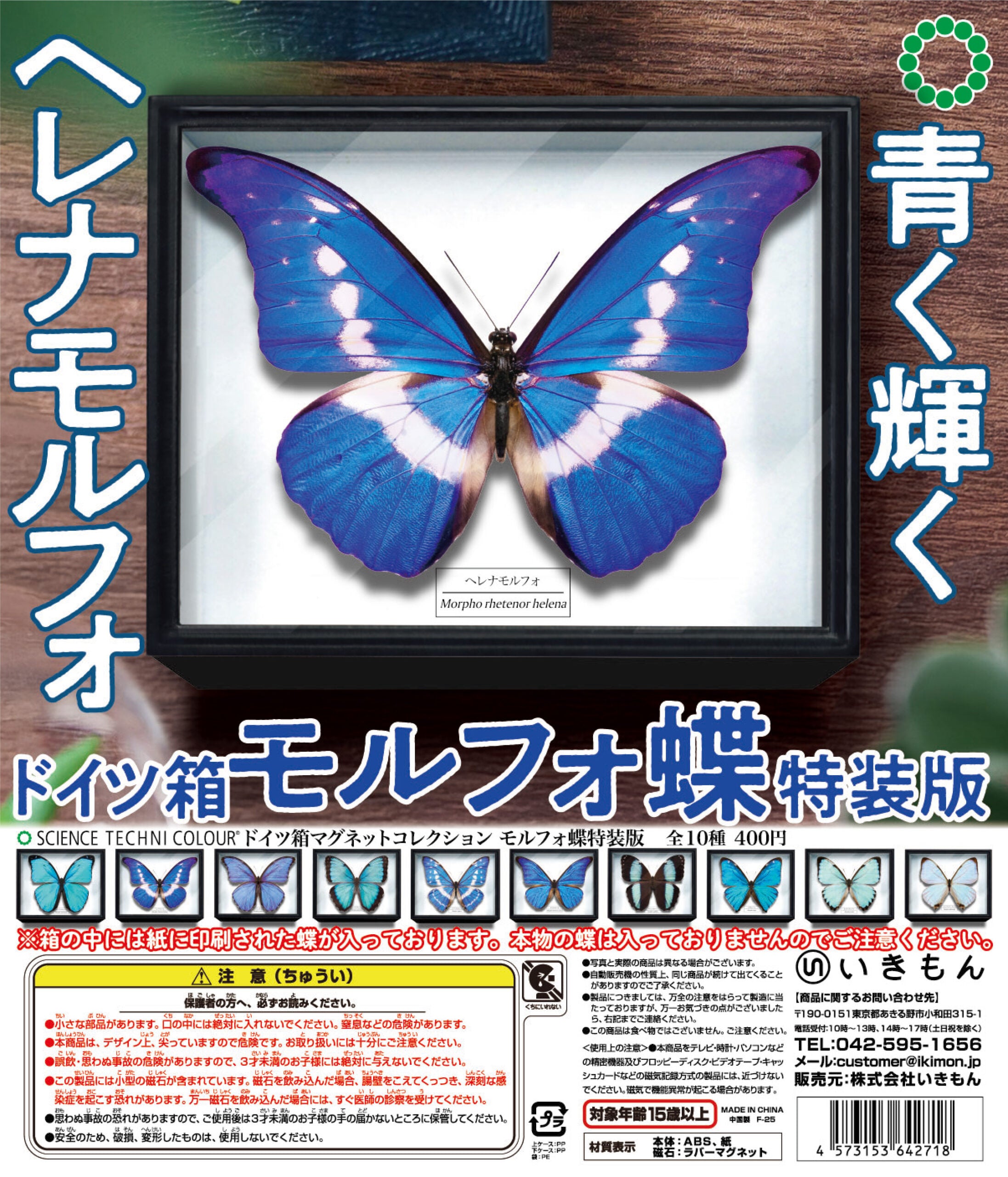 German Box Magnet Collection Morpho Butterfly Special Edition Gacha poster featuring framed blue Morpho butterfly with series details, emphasizing printed images, not real specimens.