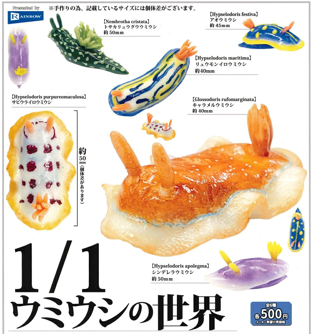 1/1 scale world of sea slugs Gacha Series promotional poster showing six detailed miniature nudibranch models with names, each costing ¥500, presented by Rainbow.