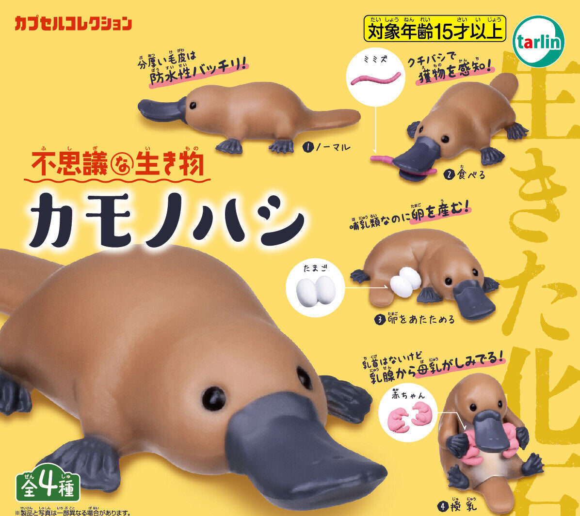Mysterious Creature Platypus Gacha: Plastic toy platypus in various shapes, close-ups of features.