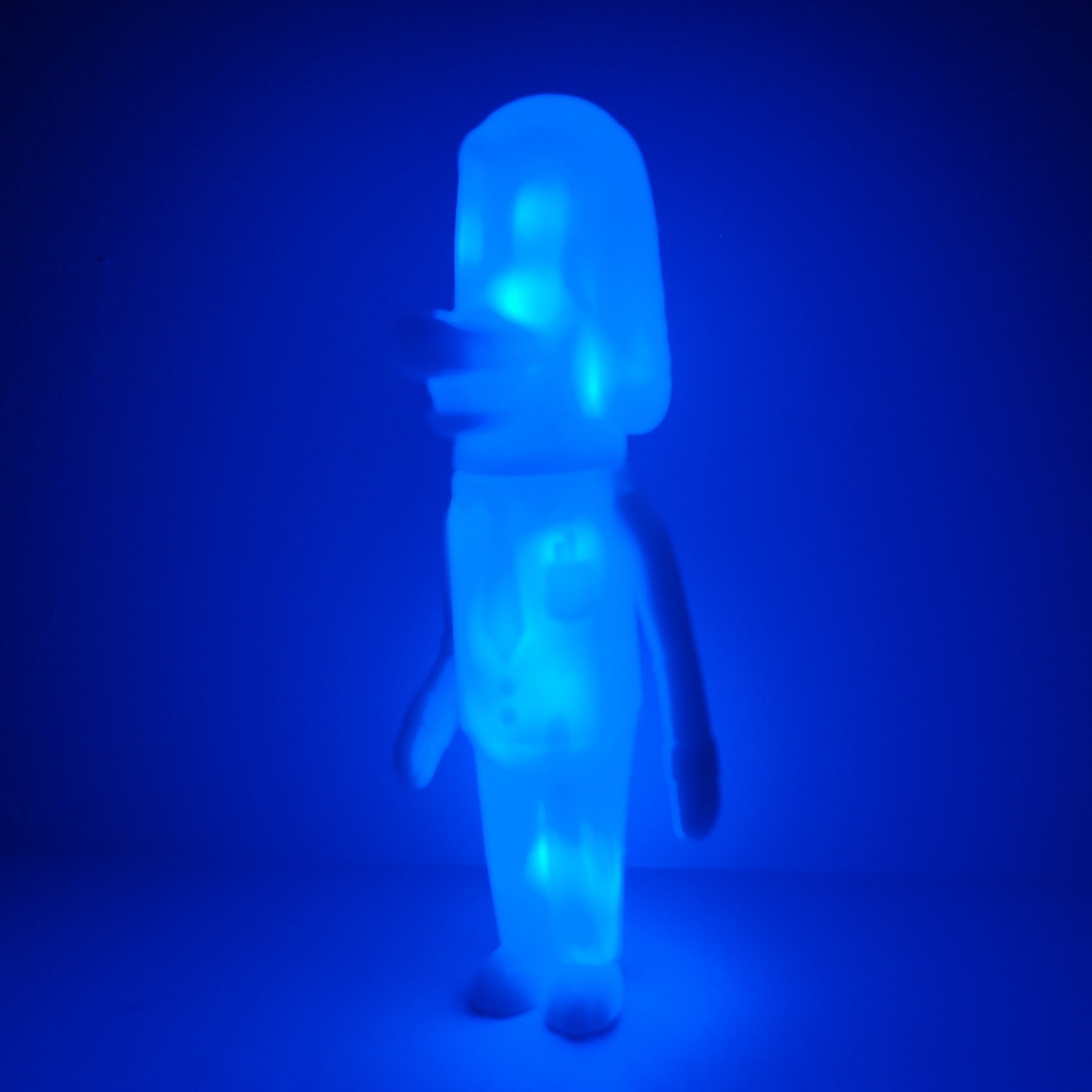 Clear With Stuff Inside - Glow Dog by Vincent Scala