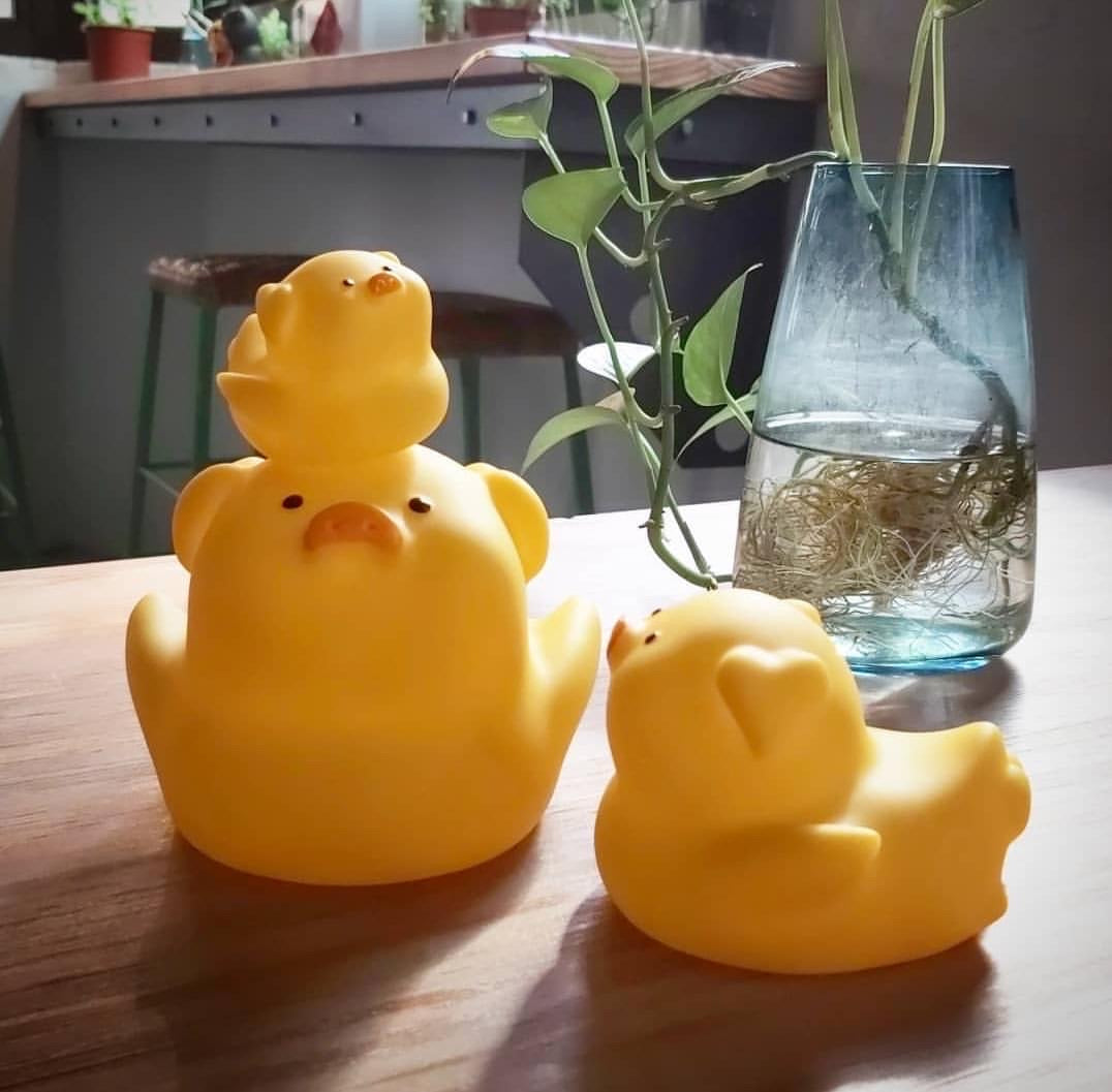 A group of rubber ducks, a plant in a glass container, and a yellow rubber ducky on a wooden surface from Ducky Jude - A Bathing Pig Family set.