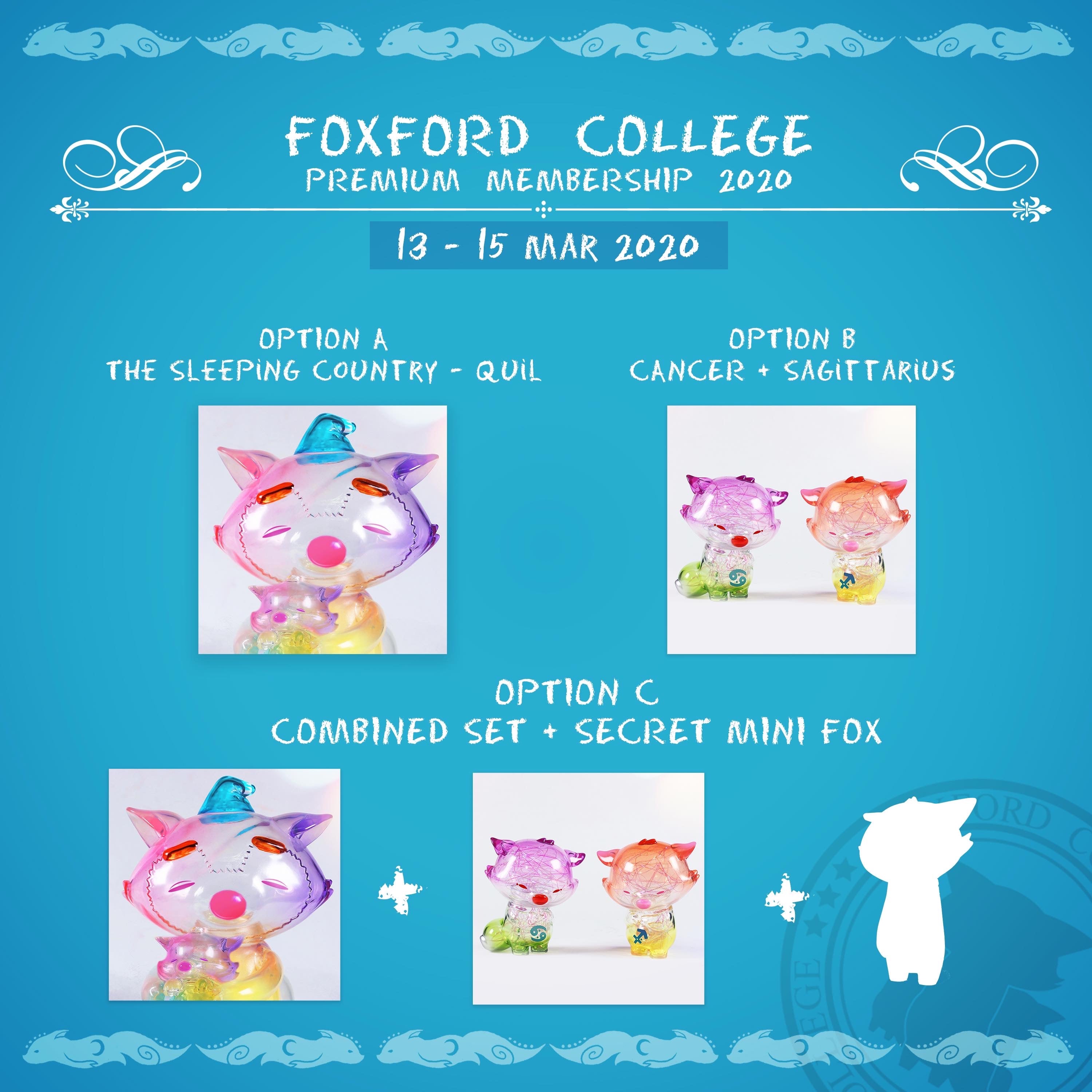 Plastic animal figurines including a cat, piggy bank, and cartoon character for Ok Luna's Foxford College Premium Membership 2020.